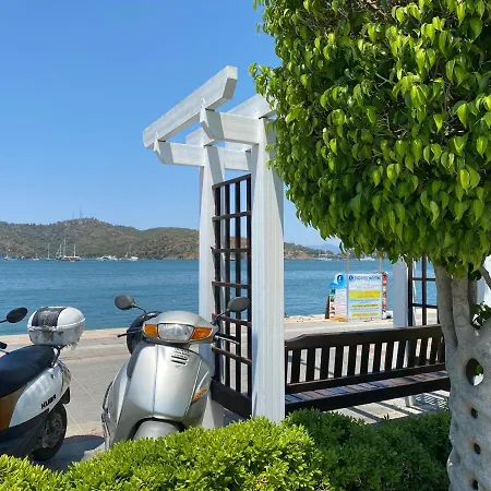 Apartment New Haven Apartments Fethiye